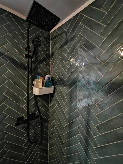 טולוז Chambre Chez Habitant Proche Metro מראה חיצוני תמונה